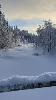 Fotografija s spletne strani Benjamin Bachler na poti