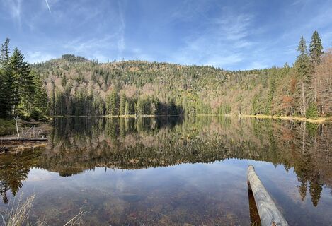 Fotografia z Nikolaus Ludwig 1 na trase