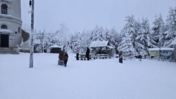 Foto von Katja Senkel entlang der Tour
