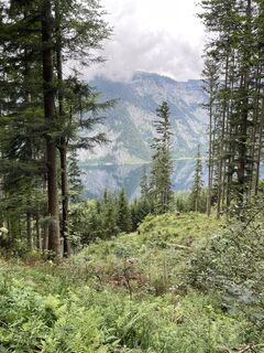 Foto von Gerald entlang der Tour