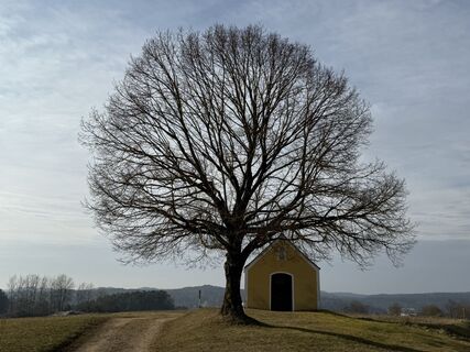 Fotografija s spletne strani Norbert Herbig na poti