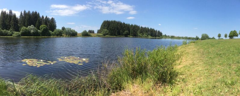 Frasne, Etang du moulin