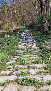 Fotografie de la Ursula Reumer de-a lungul turului