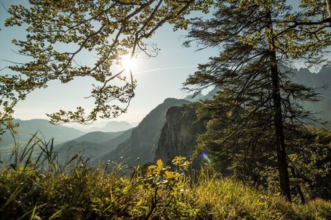 Niederkaiser Region St. Johann in Tirol