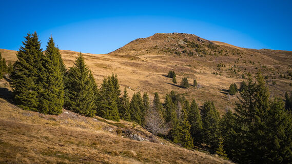 Foto von Kurt entlang der Tour