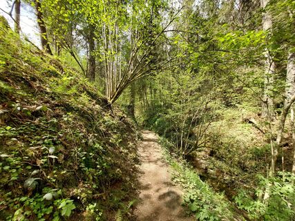 Der Pfad in die Lützenschlucht