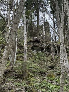 Photo de Herwig Winkler le long du parcours
