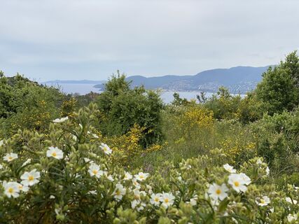 Photo de Tanja Wiese le long du parcours