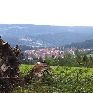 Schöner Blick auf Schonach.