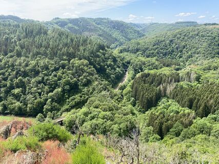 Foto de Dan Braun a lo largo del recorrido