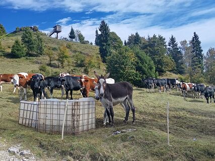 Photo de Gloria 1 le long du parcours