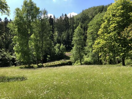 Sulzkar Bad Wildbad im Schwarzwald