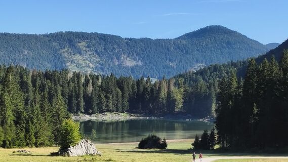 Fotografia z hjess na trase