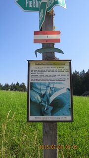 Aufstieg nahe beim Gleinkertsee