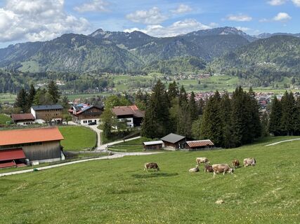 Fotografija s spletne strani Denise Miller na poti