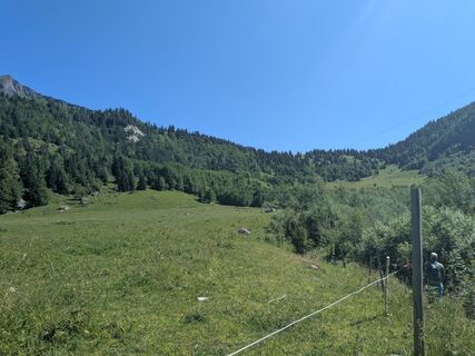 Photo de mtmc le long du parcours
