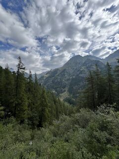 Foto von Mony entlang der Tour