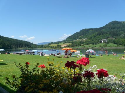 Urbansee