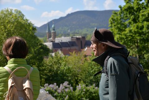 Klosterwanderweg - Blick vom Georgenberg bei Goslar