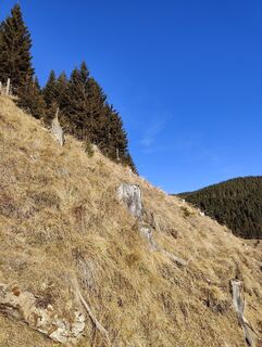 Fotografija s spletne strani Lena Eder na poti