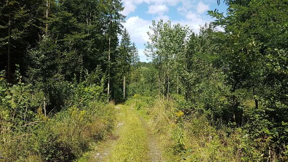 6.7 km Lembachtal