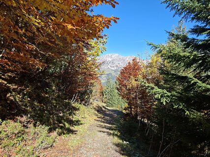 Fotografija s spletne strani Karl-Heinz Martin na poti