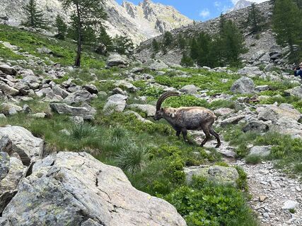 Photo de Toni Lerda le long du parcours
