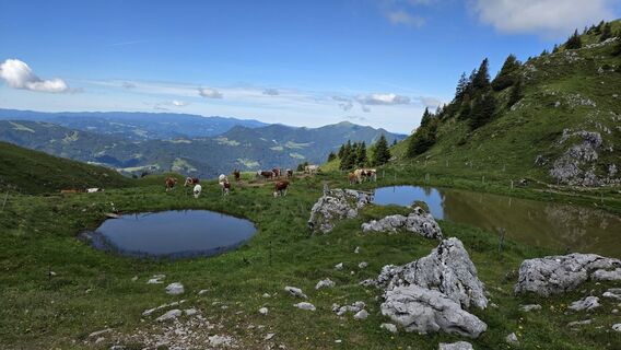 Foto von Klementina Gartner entlang der Tour