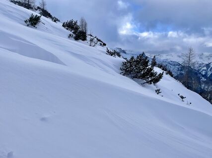 Photo de Andrea van den Berg le long du parcours