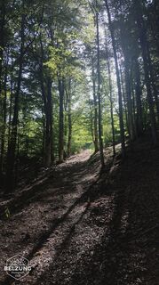 Foto de Jacky belzung a lo largo del recorrido