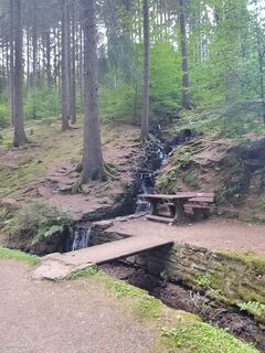 Photo de Jana Gläser le long du parcours
