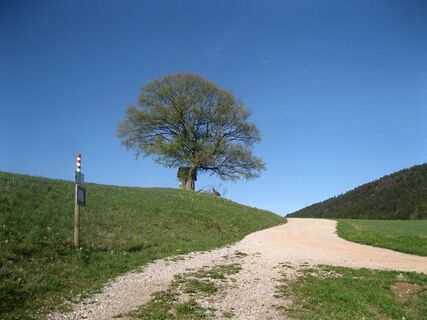 01 Nordalpenweg, 4. Etappe
