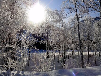 Winterlandschaft in Reuthe