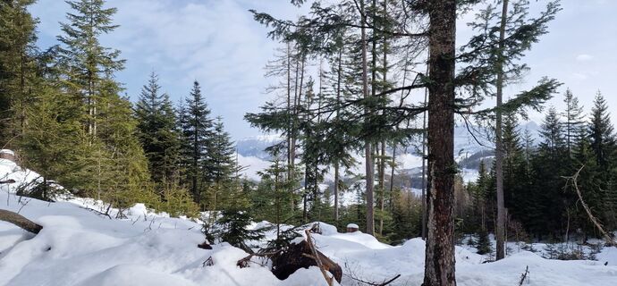 Foto von Mario Augustini entlang der Tour