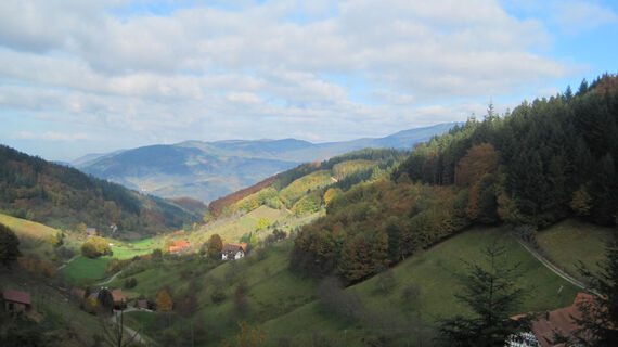 Blick auf Ottenhöfen