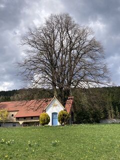 Fotografija s spletne strani Hermann Hobelleitner na poti