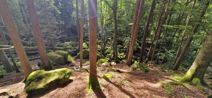 Foto von Zsuzsa Szàntó entlang der Tour