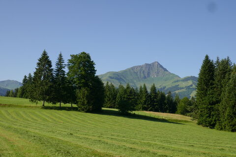Kitzbüheler Horn