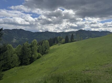 Foto de Alois Moosmann a lo largo del recorrido