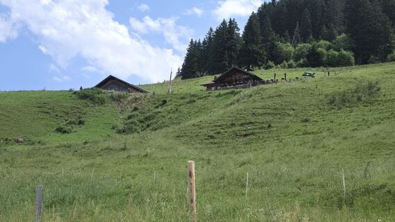 Photo de Gerrit van der Linde le long du parcours