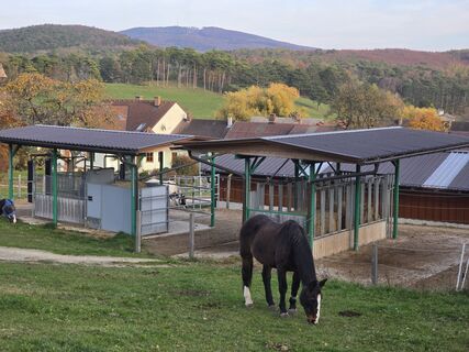 Fotografia z TwilightTea na trase