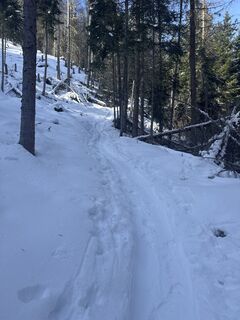 Foto von Flo entlang der Tour