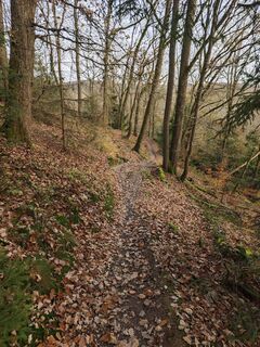 Fotografie z Björn Heun na trase