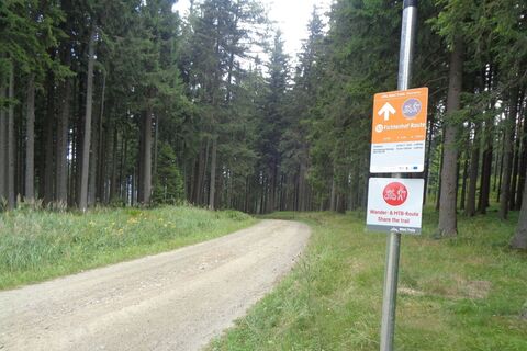 Route 53 - Wexl Trails