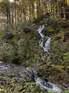 Foto de Tomislav Pavelic a lo largo del recorrido