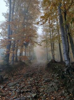 Fotografia z Daniel Kremiec na trase