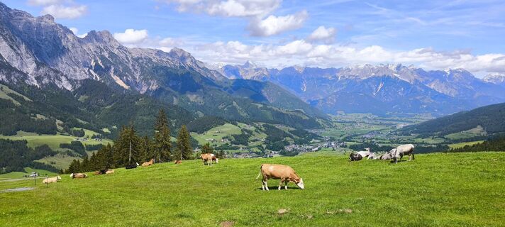 Foto fra Markus Fischer undervejs på turen