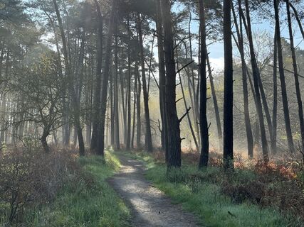Fotografie z Martin Schubert na trase