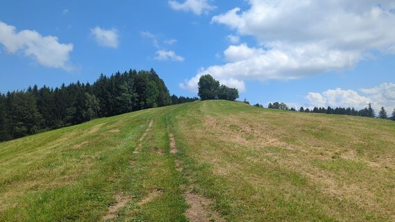 Fotografija s spletne strani AndreasD na poti