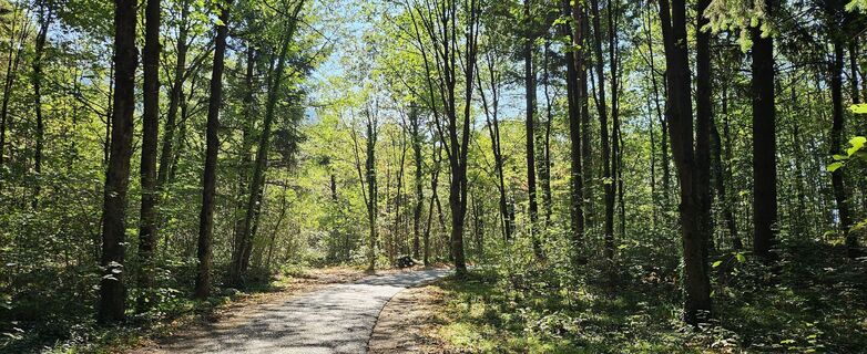 Fotografie z Tanjasusanna na trase